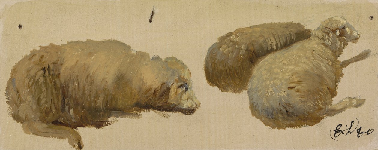Tre får i hvile (olie på papir) af Edwin Landseer