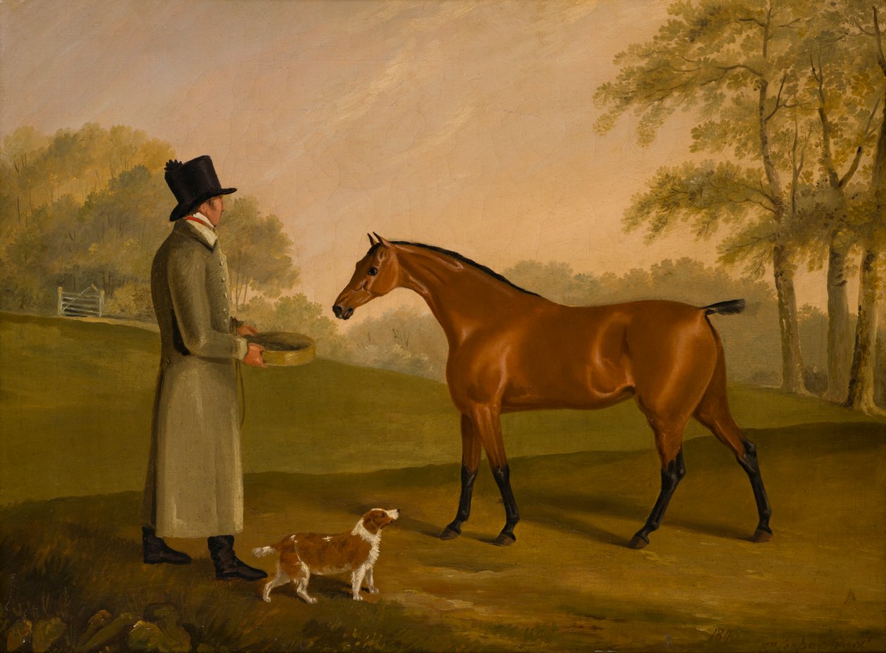 A Horse in a Landscape with the Groom, David, Bennet, ca. 1805 (olie på lærred) af Edwin W. Cooper