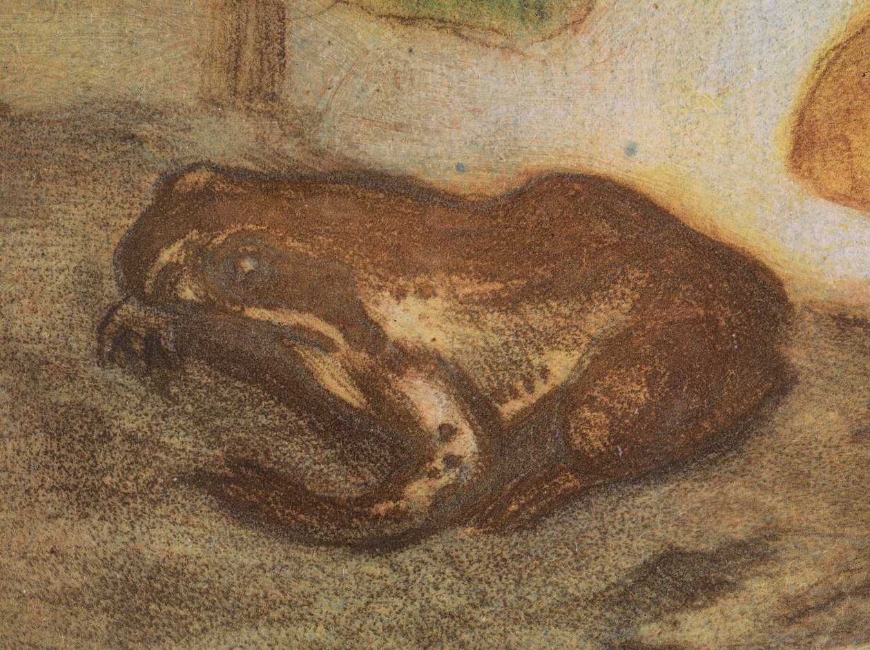 Frø med engkabbeleje af Eero Järnefelt