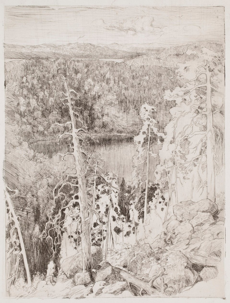 Landskab fra Koli; Skovlandskab fra Räsävaara af Eero Järnefelt