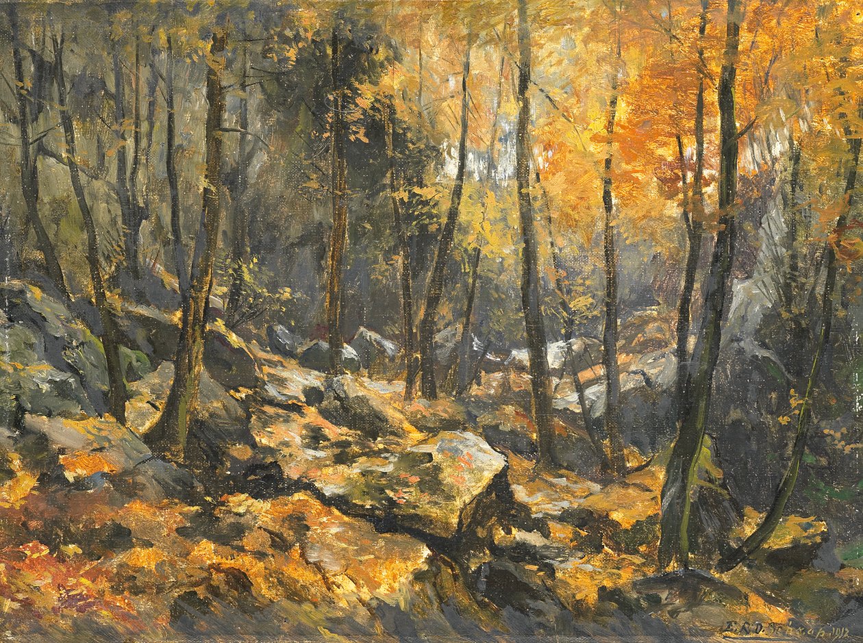 Stenhav af Egbert Schaap