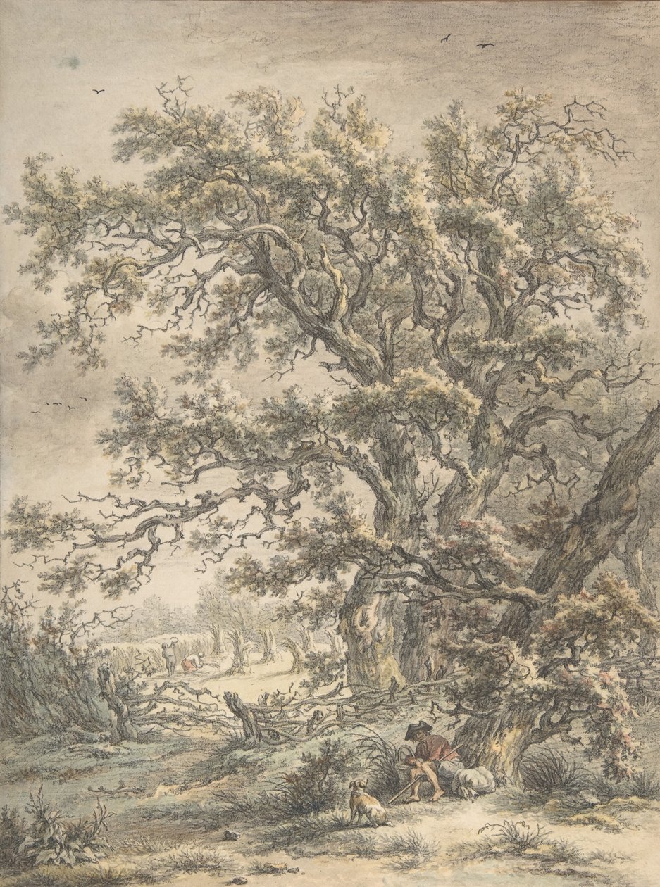 En mand hviler under et træ, n.d. af Egbert van Drielst