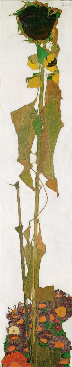 Solsikke af Egon Schiele