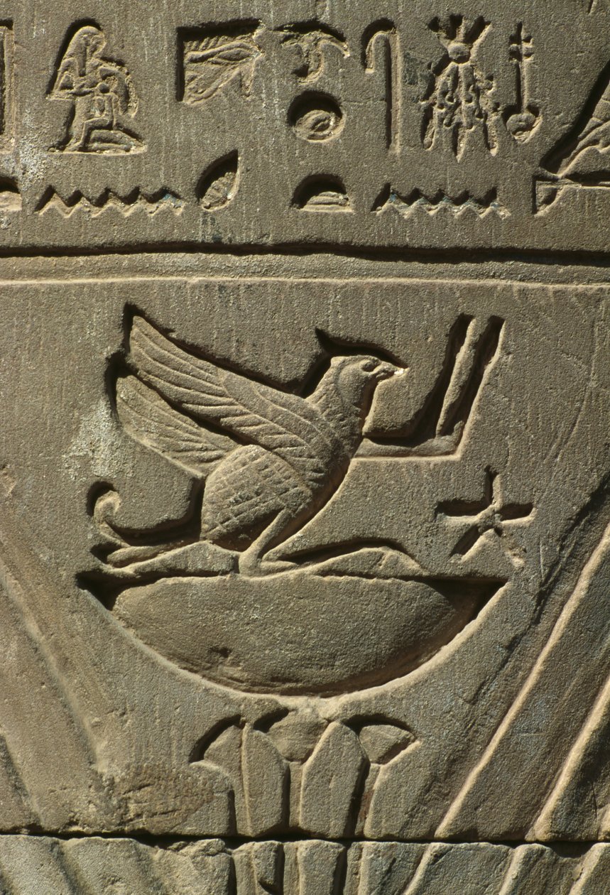 Detalje af et relief, hieroglyffer kalksten af Egyptian
