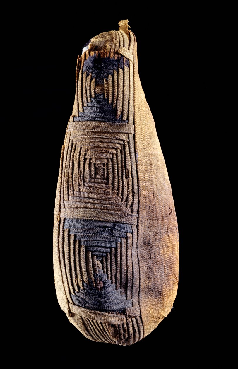Mumie af en ibis, fra Abydos, Egypten af Egyptian