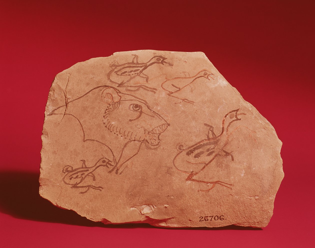 Ostrakon med et løvehoved og fire vagtelunger, sandsynligvis fra Theben, 19.-20. dynasti (malet kalksten) af Egyptian