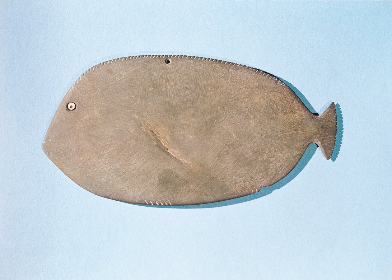 Palet i form af en fisk, præ-dynastisk periode (5000-3100 f.Kr.) (skifer) af Egyptian