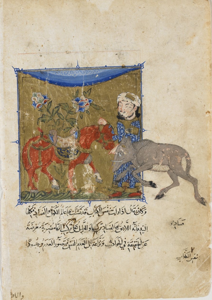 Ornen og hesten, folio fra en Sulwan al-Muta af Ibn Zafar, Mamluk-dynastiet, ca. 1335 (ugennemsigtig akvarel, blæk og guld på papir) af Egyptian