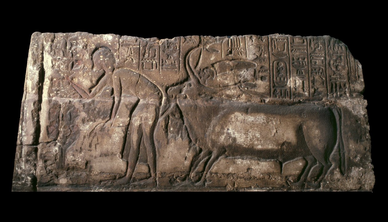Sandstensblok, der forestiller Satepatenkhay, der præsenterer en offertyr, 1333-23 f.Kr. sandsten af Egyptian 18th Dynasty
