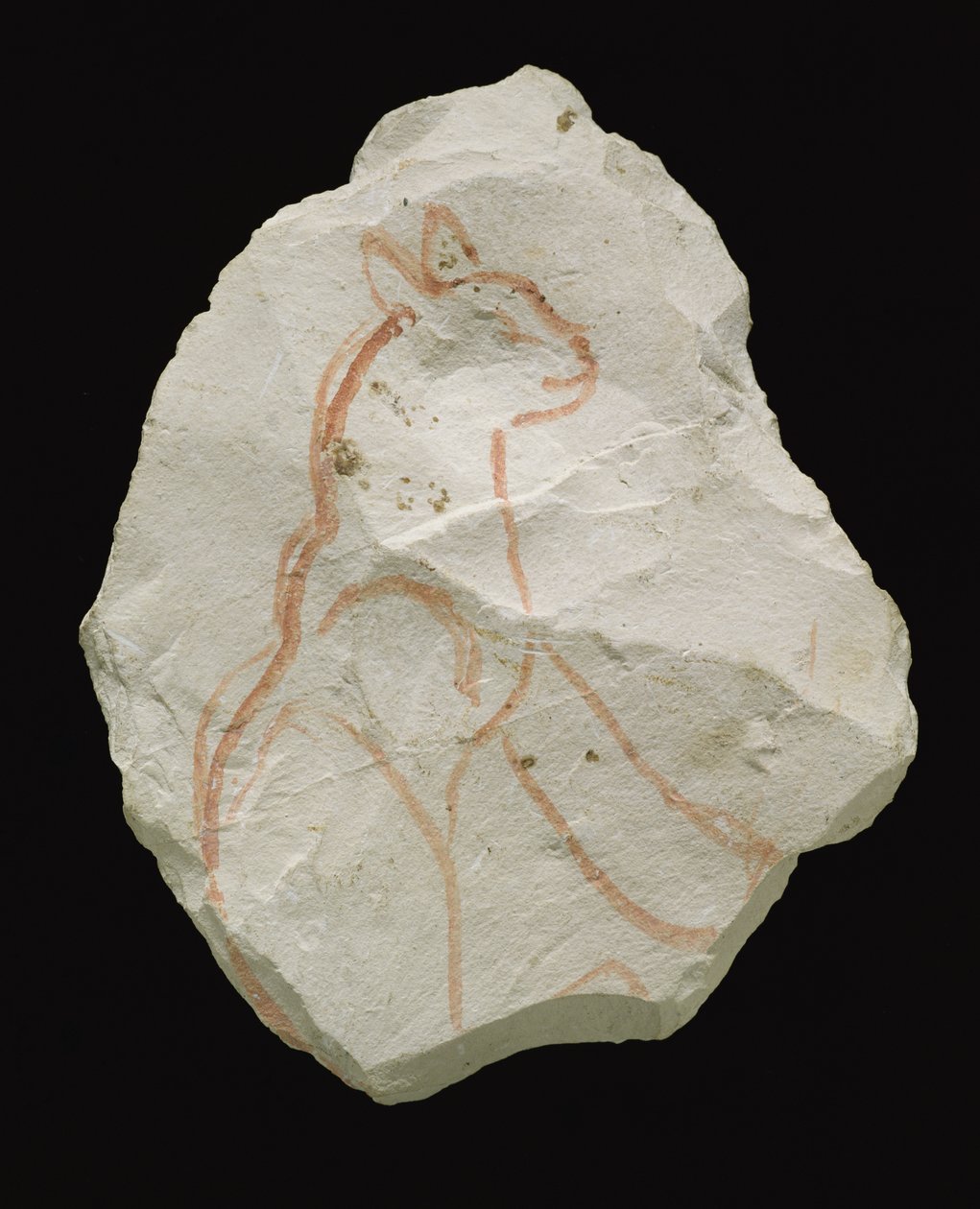 Ostracon forestiller en siddende kat, New Kingdom (kalkstensflage) af Egyptian 19th Dynasty
