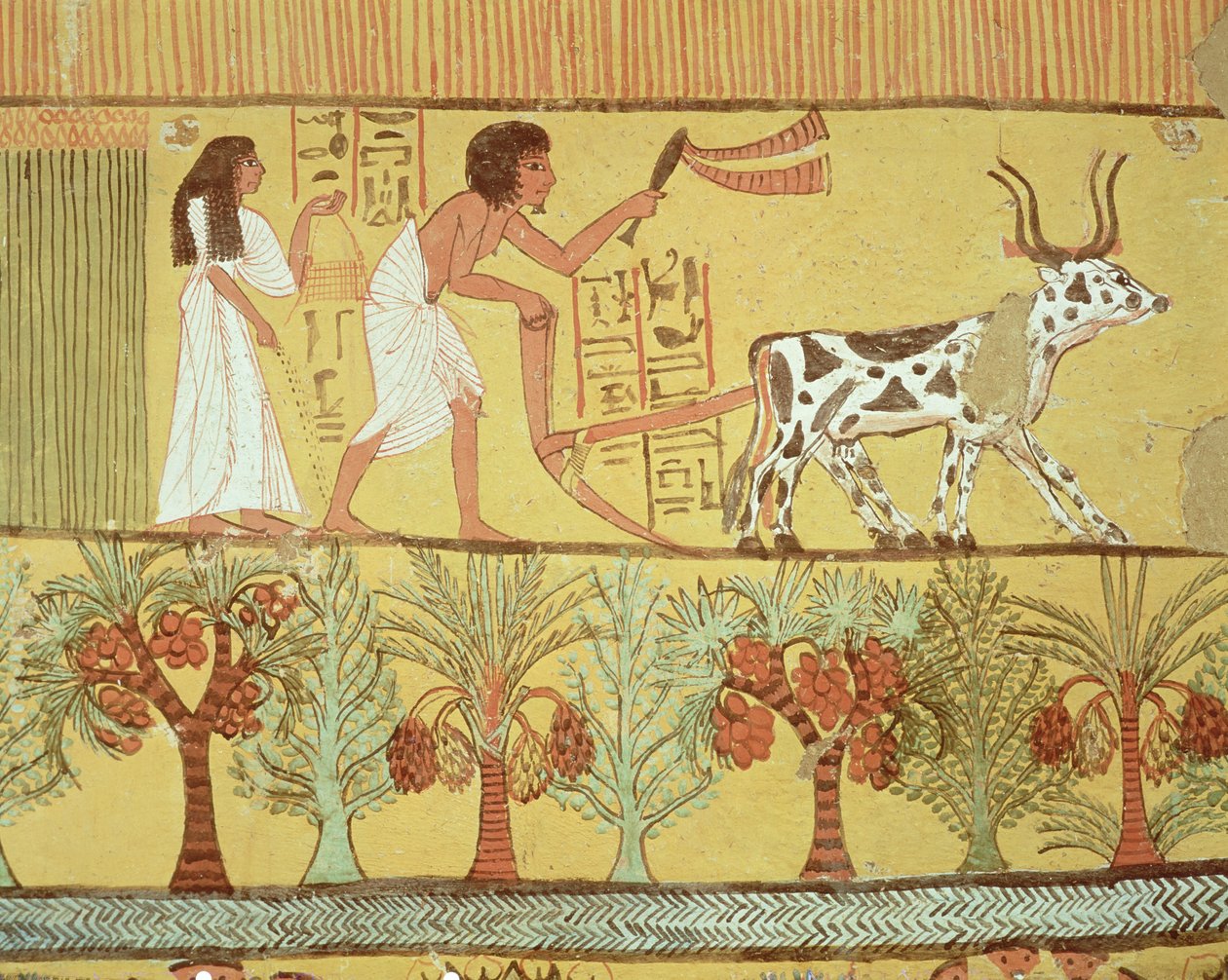 Sennedjem og hans kone på markerne, der sår og dyrker, fra Sennedjems grav, The Workers Village, New Kingdom (vægmaleri) af Egyptian 19th Dynasty