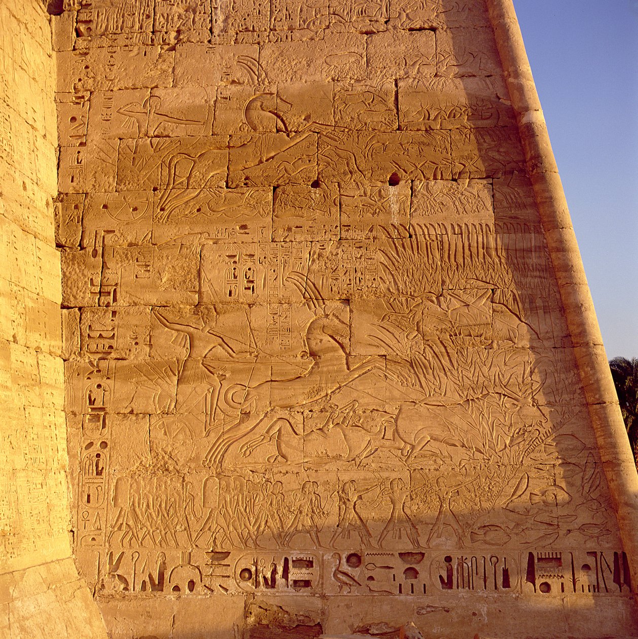 Ramses III (ca. 1184-1153 f.Kr.) på jagt efter vilde tyre fra den første pylon i Ramses III