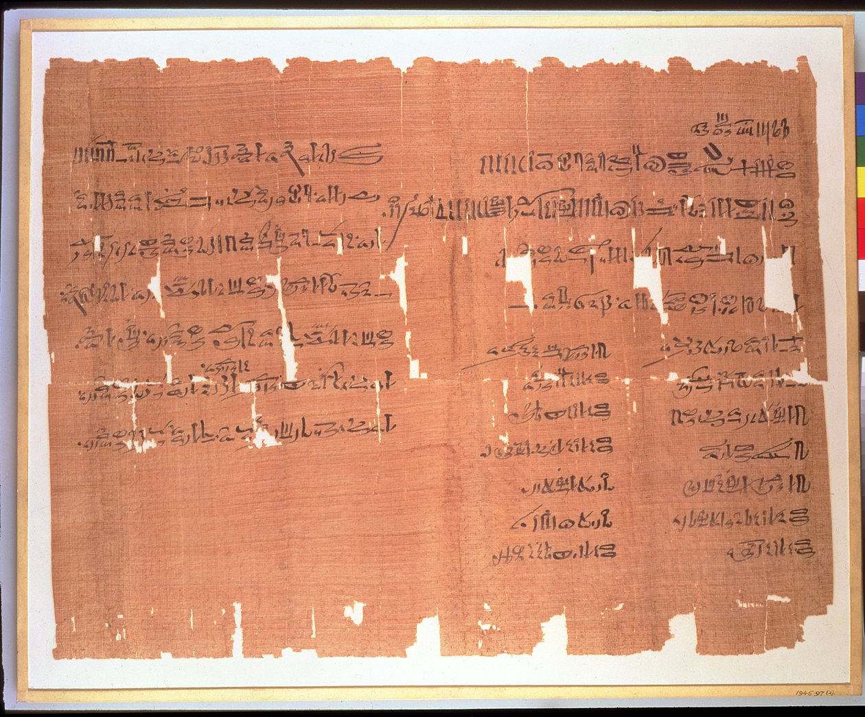 Testamente lavet af en thebansk dame ved navn Naunakhte, der fordeler sin ejendom blandt børnene i hendes to ægteskaber, hieratisk inskription, ca. 1156-51 f.Kr. (papyrus) af Egyptian 20th Dynasty