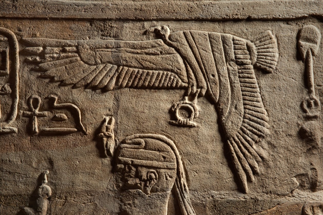 Relief på en helligdom opført af farao Taharqa i gården til Amuntemplet, som han byggede i Kawa i Nubien, 25. dynasti, sen periode, 690-64 f.Kr., sandstensdetalje af 107896 af Egyptian 25th Dynasty