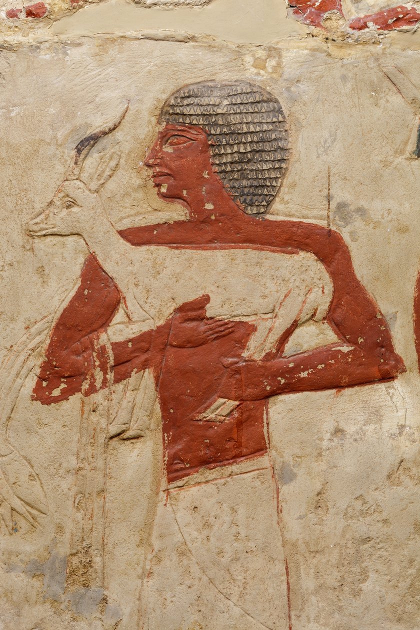 Mastaba-graven af Perneb, ca. 2381-2323 f.Kr. (kalksten og maling) af Egyptian 5th Dynasty