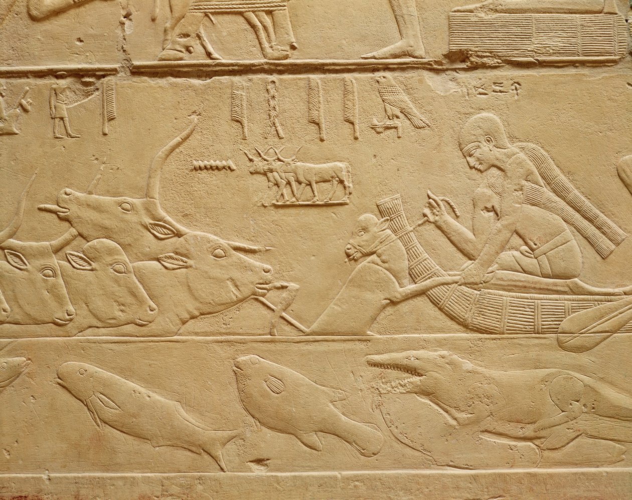 Kvæg krydser et vadested, fra Mastaba af Kagemni-stenen af Egyptian 6th Dynasty