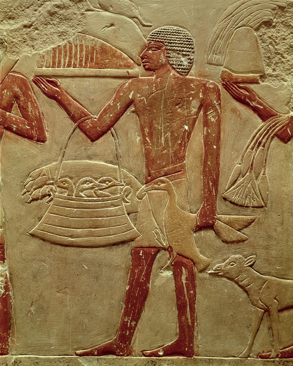 Relief, der forestiller en portør med en kurv med unger, fra prinsesse Iduts grav, Det gamle kongerige, ca. 2330 f.Kr. (malet kalksten) af Egyptian 6th Dynasty