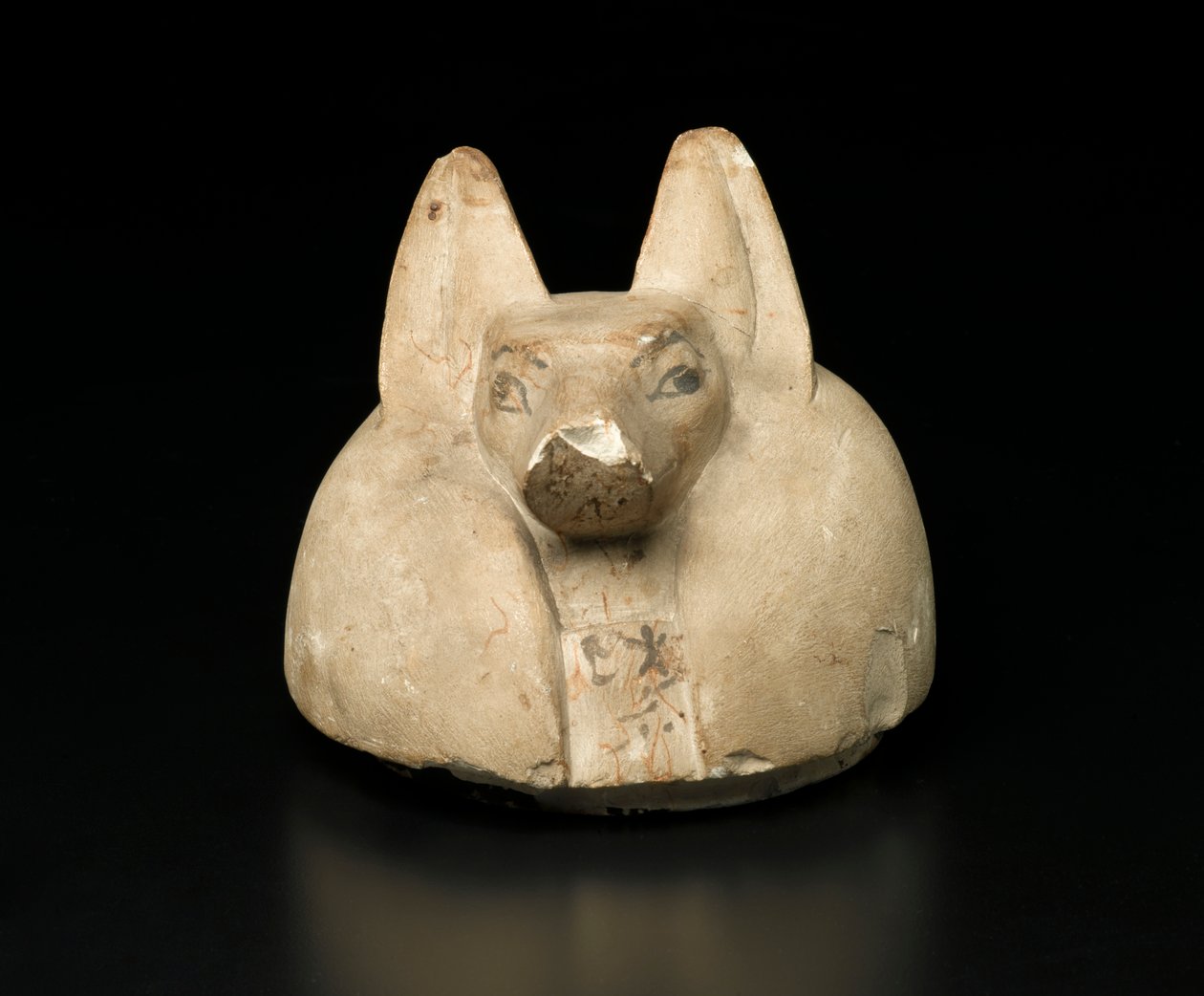Sjakalhovedet låg af en baldakinkrukke (kalksten) af Egyptian