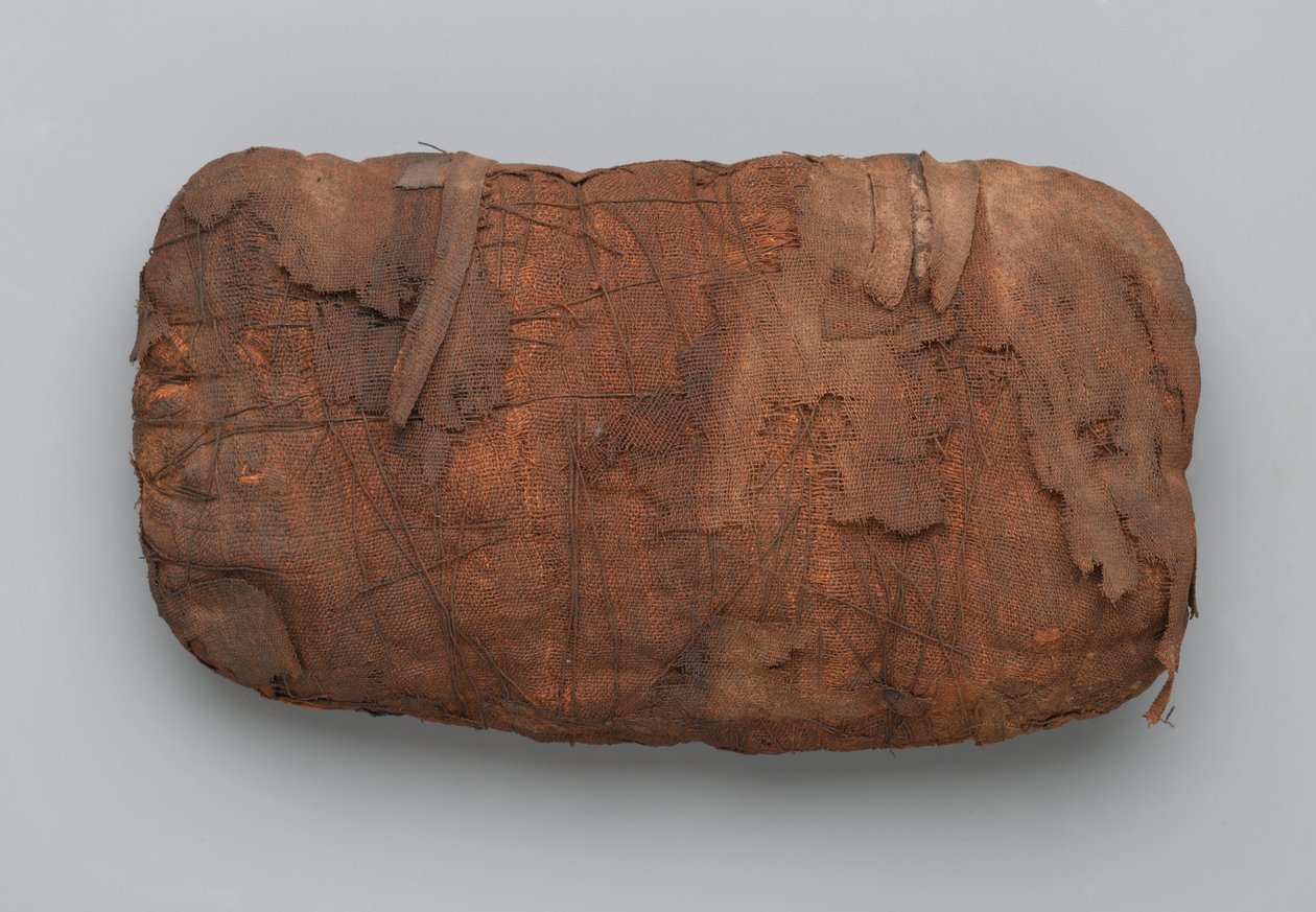 Mumier af slanger (dyrerester og linned) af Egyptian