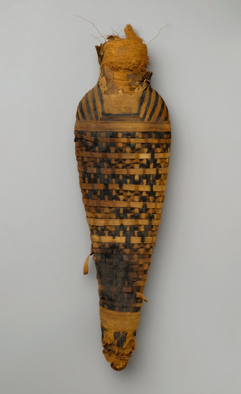 Mumi af en høg (dyrerester og linned) af Egyptian