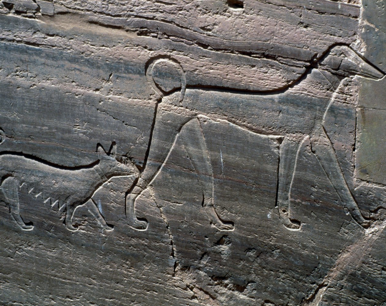 Et par hunde, relief fra indgangen, Sarenput II