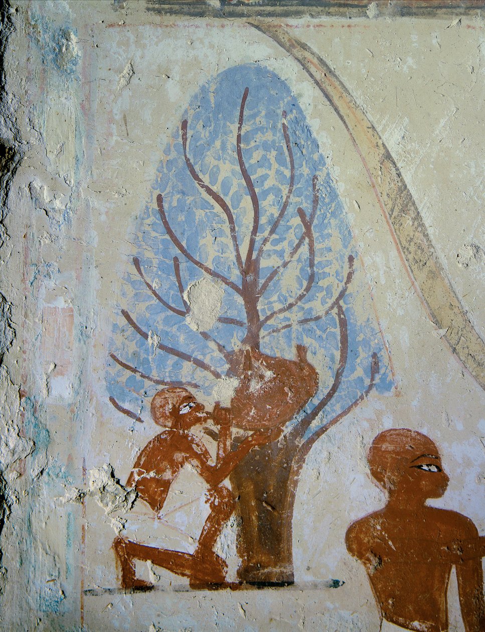  af Egyptian 18th Dynasty