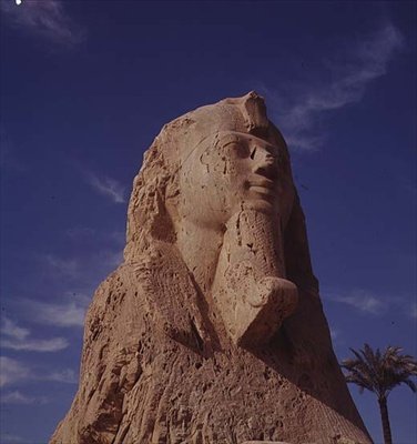 Alabaster Sphinx, New Kingdom, sandsynligvis fra Amenhotep II