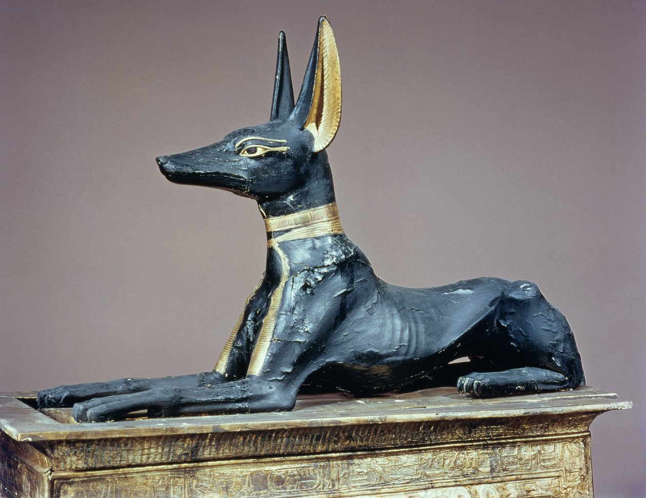 Anubis, egyptisk gud for de døde fra en kiste i form af en helligdom, fra Tutankhamons grav (ca. 1370-52 f.Kr.) New Kingdom (træ) (se også 63054) af Egyptian 18th Dynasty
