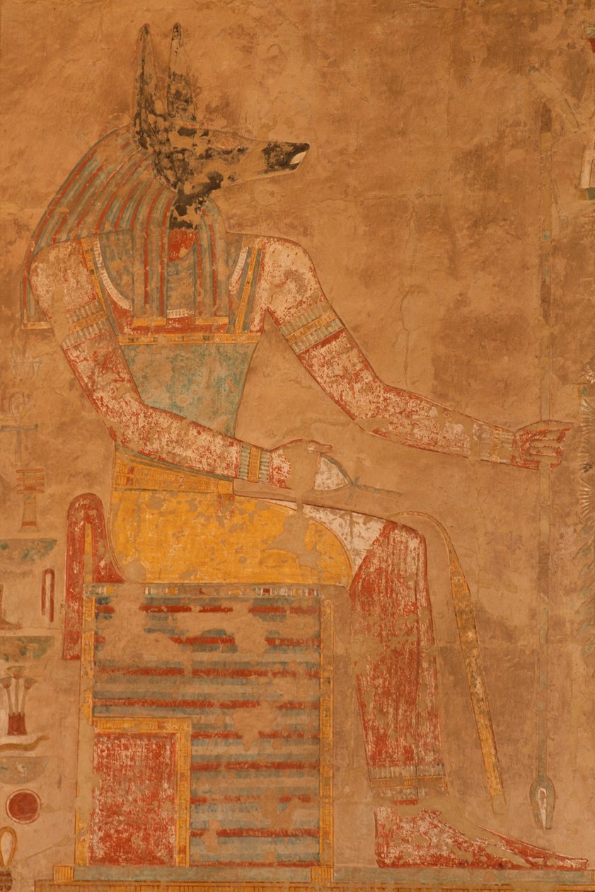 Anubis, dødsguden fra dronning Hatshepsuts lighustemplet (ca. 1503-1482 f.Kr.) (malet kalksten) af Egyptian 18th Dynasty