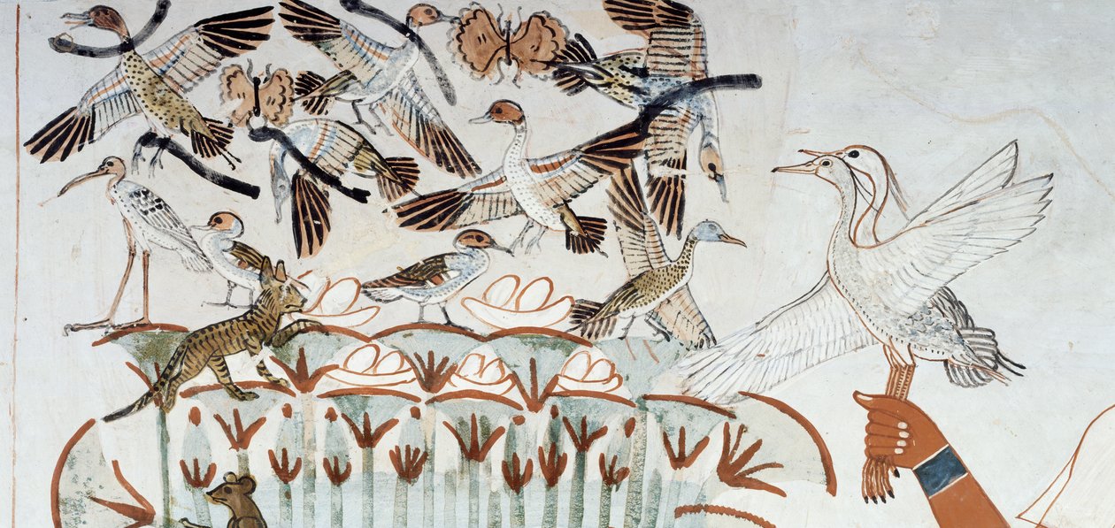 Ænder, reder, sommerfugle, katte og gnavere, detaljer fra scenen for jagt og fiskeri i marsken, fresco, nordvæg, langsgående kammer, Theban Tomb TT69, Sheikh Abd el-Qurna, Theben. Egyptisk civilisation, New Kingdom, Dynasti XVIII. af Egyptian 18th Dynasty