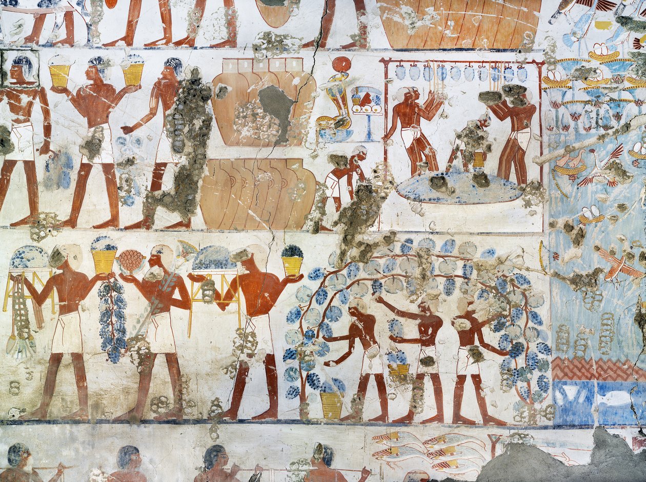 Egypten, Theben, Luxor, Sheikh 
