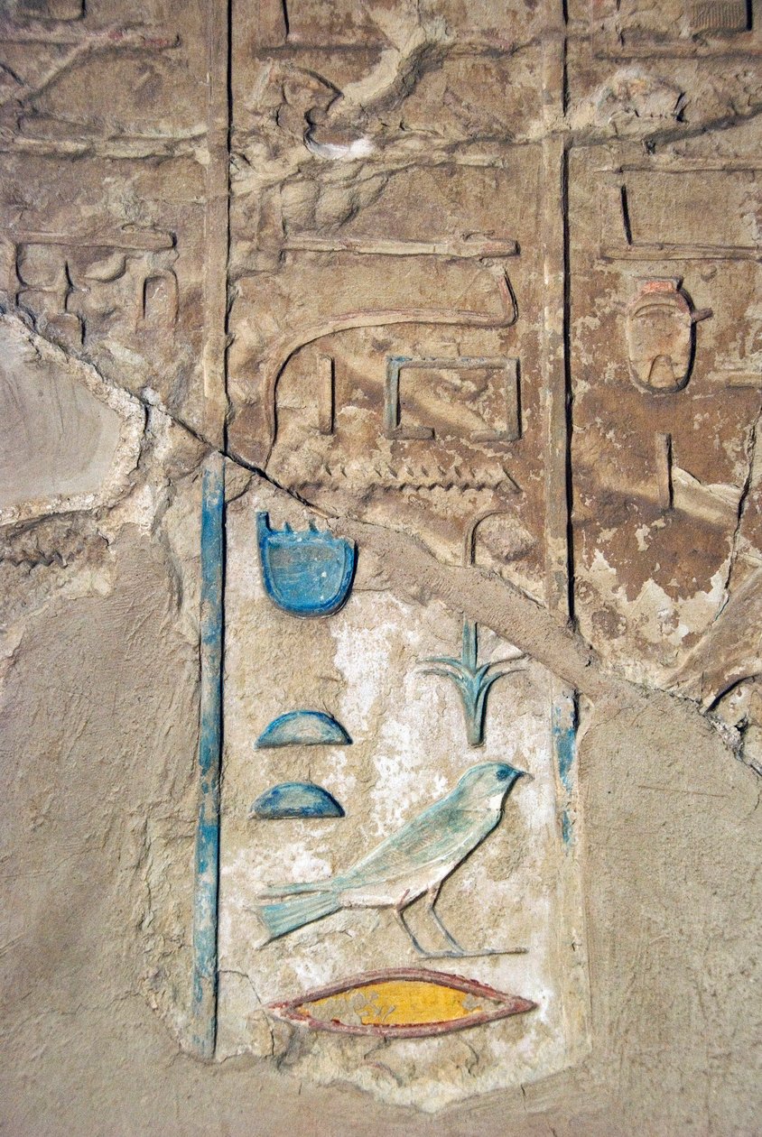 Egyptisk oldtid: farverige hieroglyffer. Kheruefs grav (TT192) (18. dynasti af Egyptian 18th Dynasty