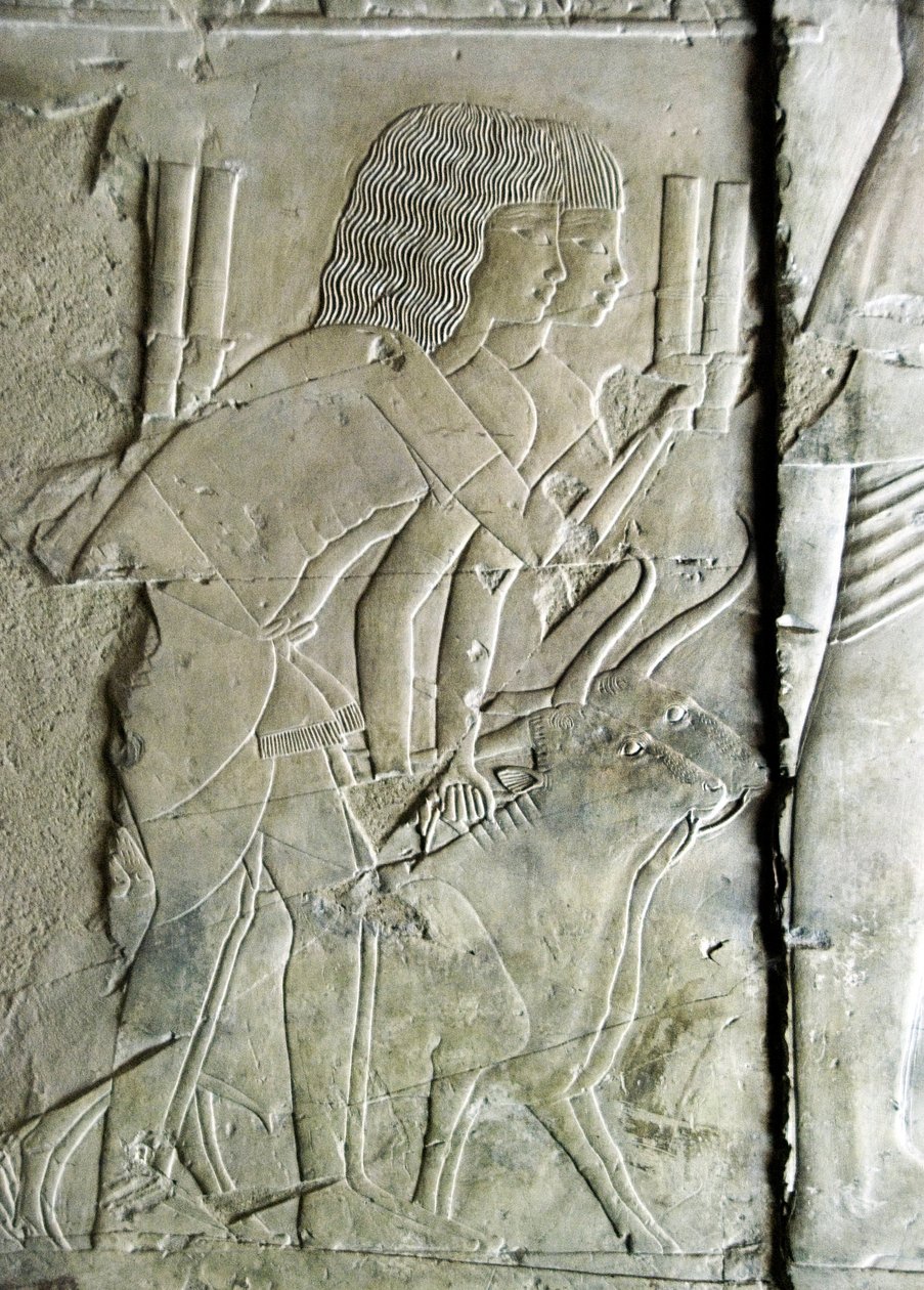 Egyptisk antikvitet: forbinder fra graven af Kha em Het (Khaemhat) loftsinspektør og skriver til Amenophis III