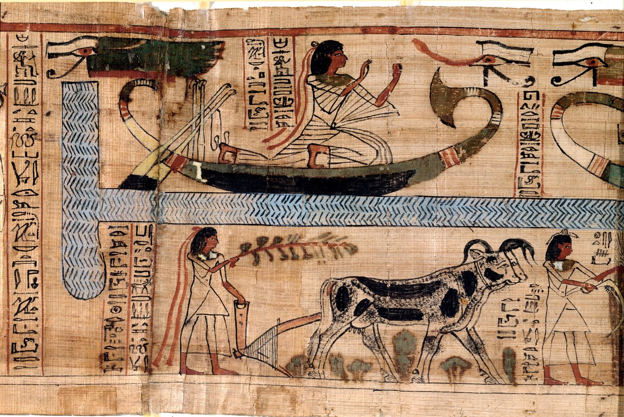 Egyptisk antikvitet: navnet på den afdøde Aner repræsenterer på Osiris båd, scenen for pløjning og vejning af sjæle (psykostase). Papyrus fra en Book of the Dead, 20. dynasti, fra Theben. Torino, egyptisk museum - Det gamle Egypten: de afdødes navn af Egyptian 18th Dynasty