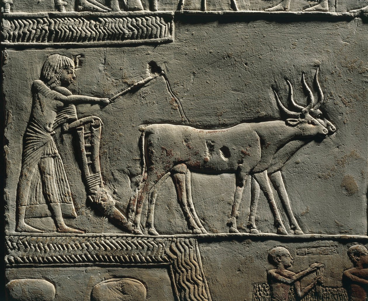 Horemheb pløjer jorden i Iaru-marken. Relief fra Horemhebs grav i Saqqara, detalje. af Egyptian 18th Dynasty