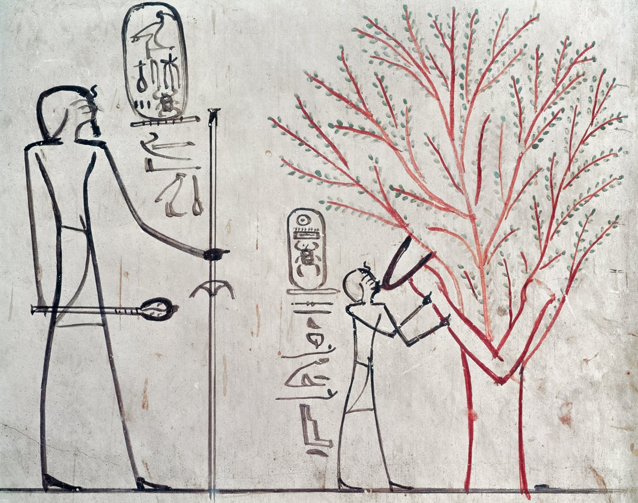 Isis omdannet til et platantræ, der dier Tuthmosis III (ca. 1479-1425 f.Kr.) (vægmaleri) af Egyptian 18th Dynasty
