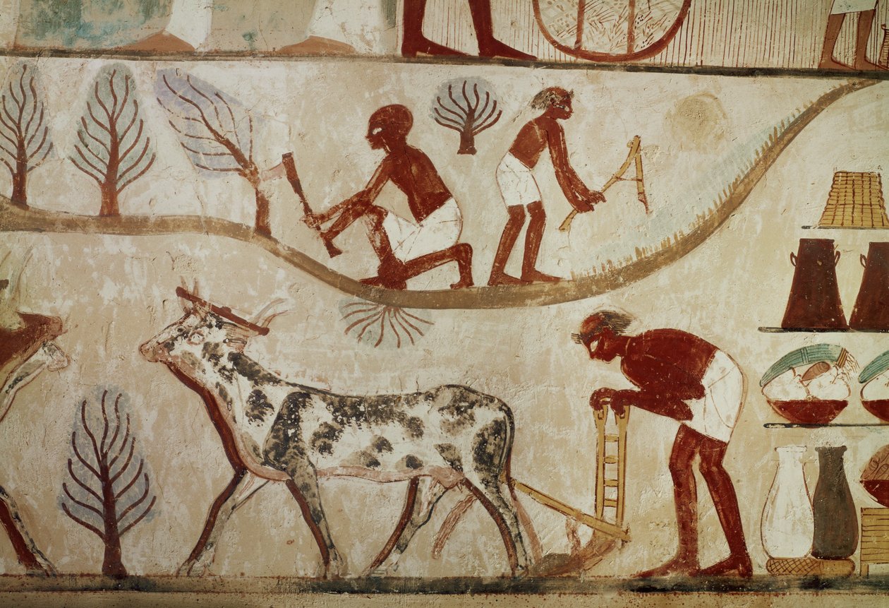  af Egyptian 18th Dynasty