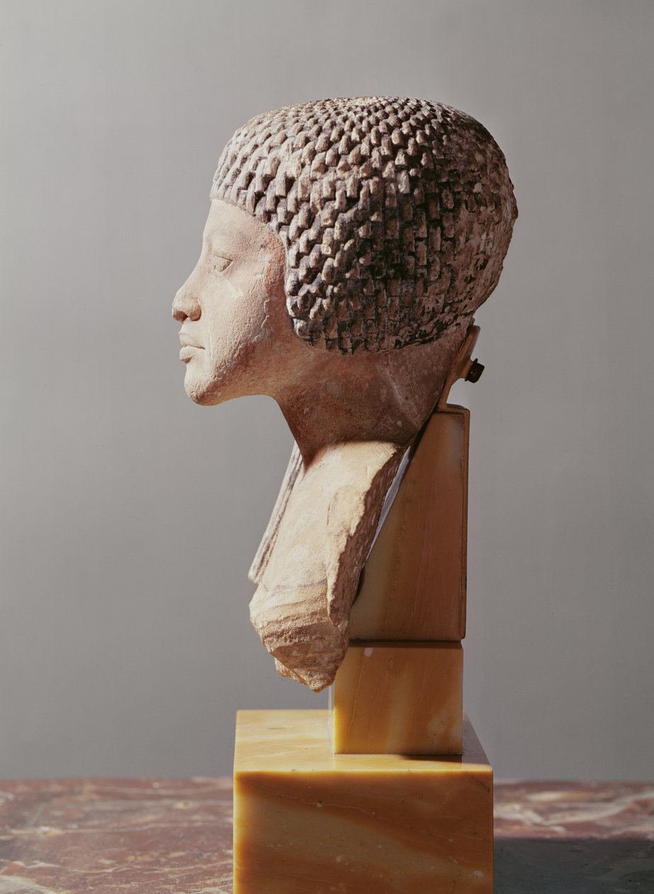 Venstre profil af hovedet af en prinsesse fra familien Akhenaten, New Kingdom (malet kalksten) (se også 107940, 116813, 370211) af Egyptian 18th Dynasty