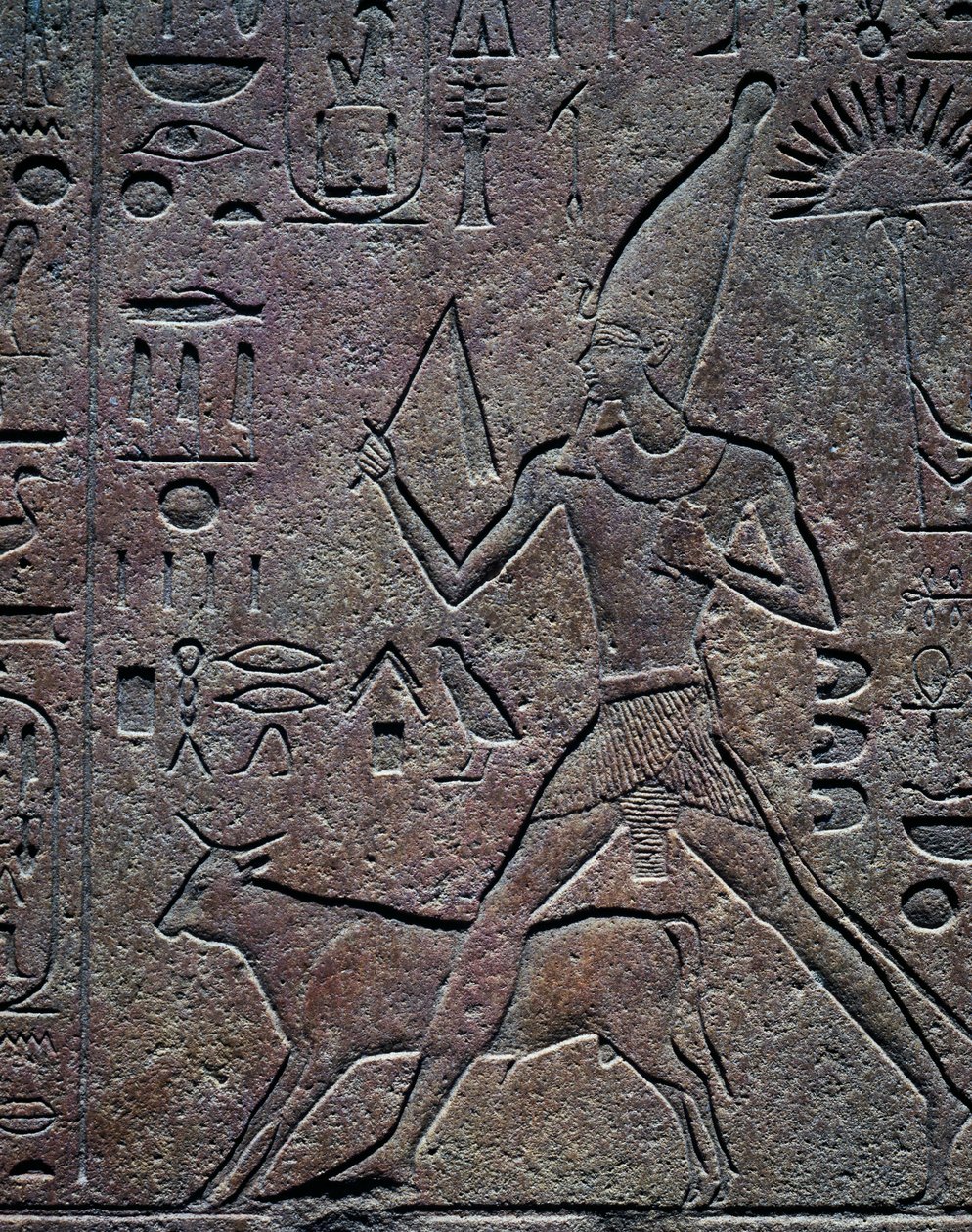 Dronning Hatshepsut ledsages af Apis-tyren under de ceremonielle aktiviteter i forbindelse med jubilæumsfesten, relief, Amun-templet, Karnak-tempelkomplekset (Unescos verdensarvsliste) af Egyptian 18th Dynasty