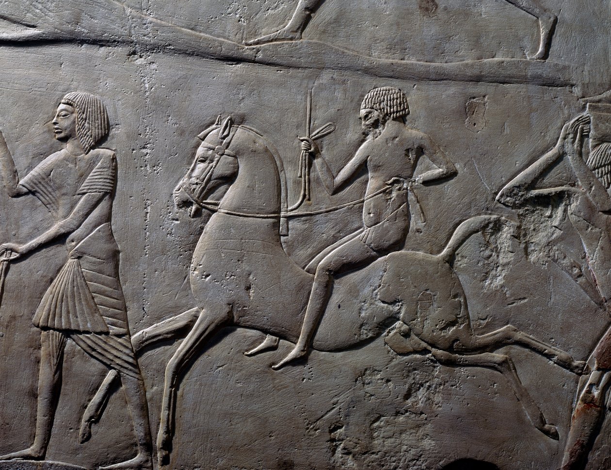Stafetløb på hesteryg, detalje af vægrelief forestillende militærlejr med soldater, kalksten, fra Horemhebs memfitiske grav i Saqqara, Egyptisk civilisation, Ny Rige, XVIII. dynasti af Egyptian 18th Dynasty