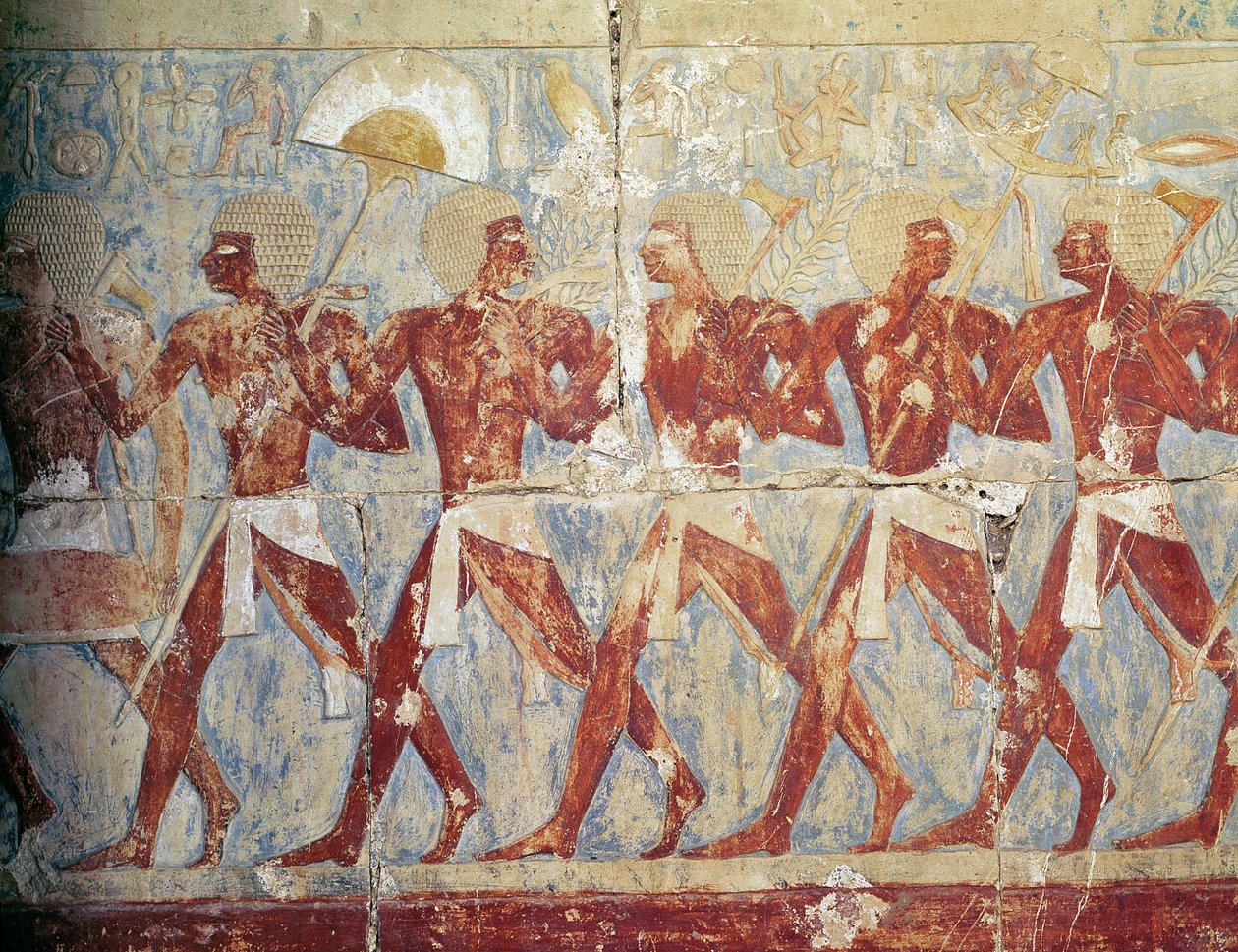 Relief, der viser en parade til ære for gudinden Hathor, fra Hatshepsuts lighustemplet (ca. 1503-1482 f.Kr.) New Kingdom (malet kalksten) (se også 382845) af Egyptian 18th Dynasty