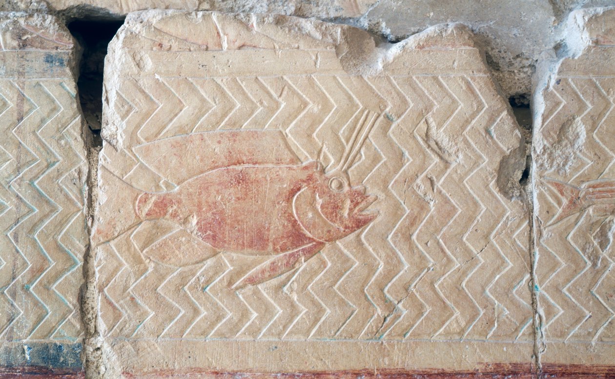 Relief af en fisk, Hatshepsuts gravtempel, Theben (relief) af Egyptian 18th Dynasty