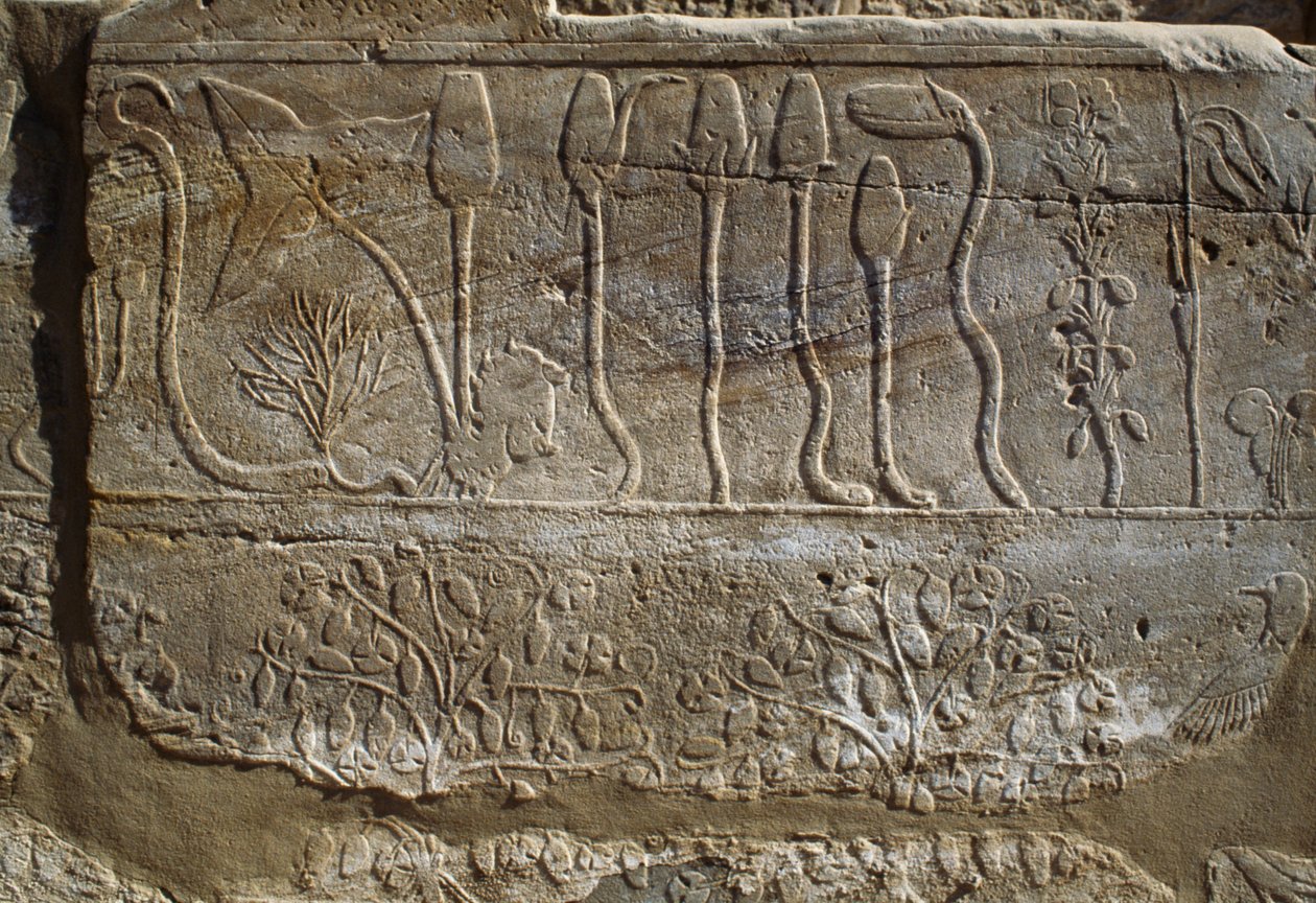 Relief af dyr og planter, som Thutmose III ofrede til Amon, da han vendte tilbage fra sit felttog i Syrien i 1465 f.Kr, Botanical Garden Room, Karnak, Theban Necropolis, Luxor, Egypten, Det Nye Rige, XVIII. dynasti af Egyptian 18th Dynasty