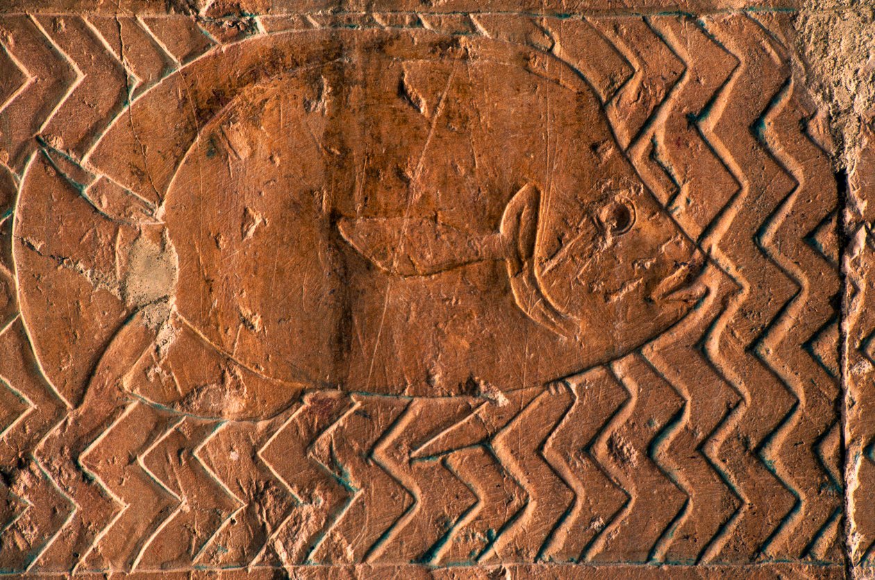 Repræsentation af fisk, scener fra Kongeriget Punt, sydvæggen i den centrale søjlegang, Hatshepsuts gravtempel, Deir el-Bahari, Luxor, Theben (Unesco