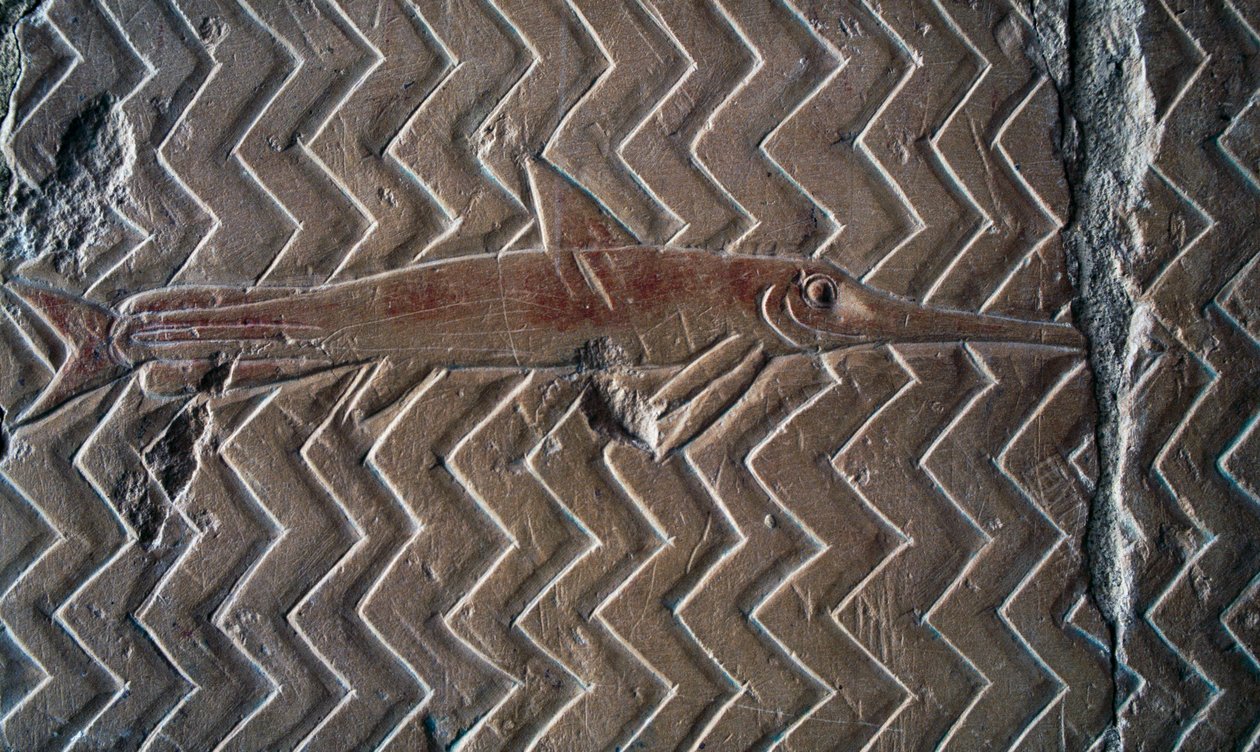 Repræsentation af fisk, scener fra Kongeriget Punt, sydvæggen i den centrale søjlegang, Hatshepsuts gravtempel, Deir el-Bahari, Luxor, Theben (Unesco