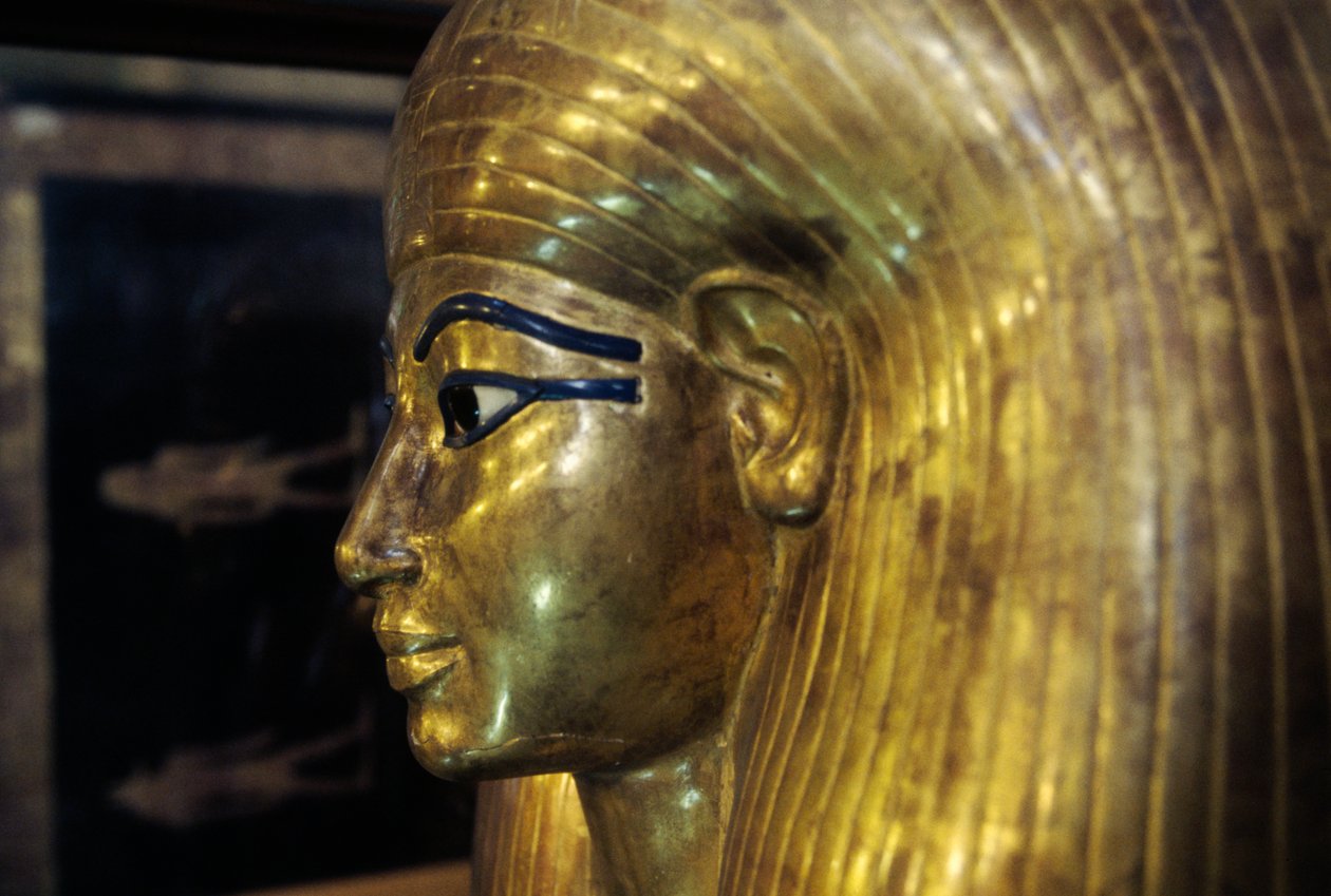 Tjuyas sarkofag, fra Yuya Tjuyas grav, Kongernes Dal, Egypten, Egyptisk civilisation, Det Nye Rige, Dynasti XVIII, detalje af Egyptian 18th Dynasty