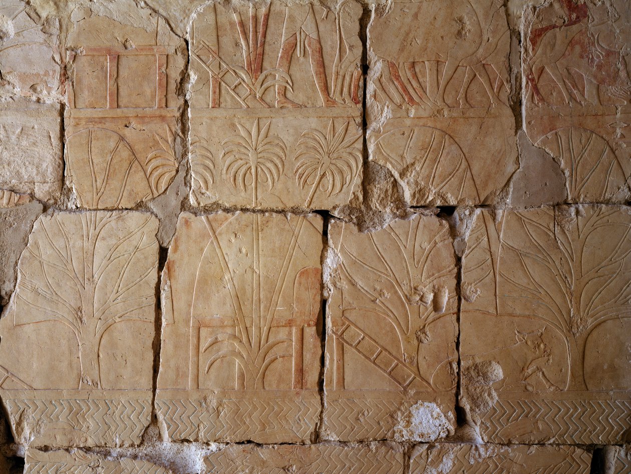 Vegetation, detalje af scene, der skildrer ekspeditionen til landet Punt, malet relief, kolonnade i Punt, Hatshepsuts gravtempel, Deir el-Bahari, thebansk nekropolis (Unescos verdensarvsliste) af Egyptian 18th Dynasty