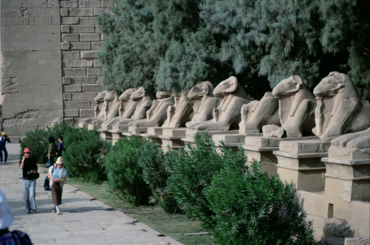 Allé med vædderhovedede sfinkser langs Processionsvejen til Amuns Store Tempel, Det Nye Kongerige af Egyptian 19th Dynasty