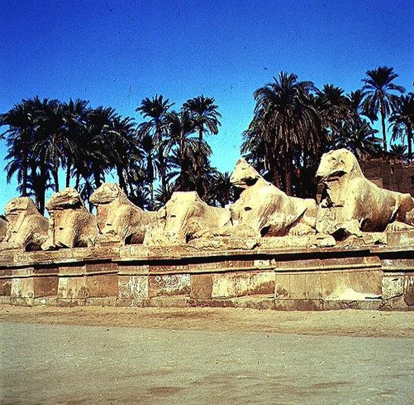 Allé med vædderhovedede sfinxer langs processionsvejen til Amuns store tempel, Det Nye Kongerige af Egyptian 19th Dynasty