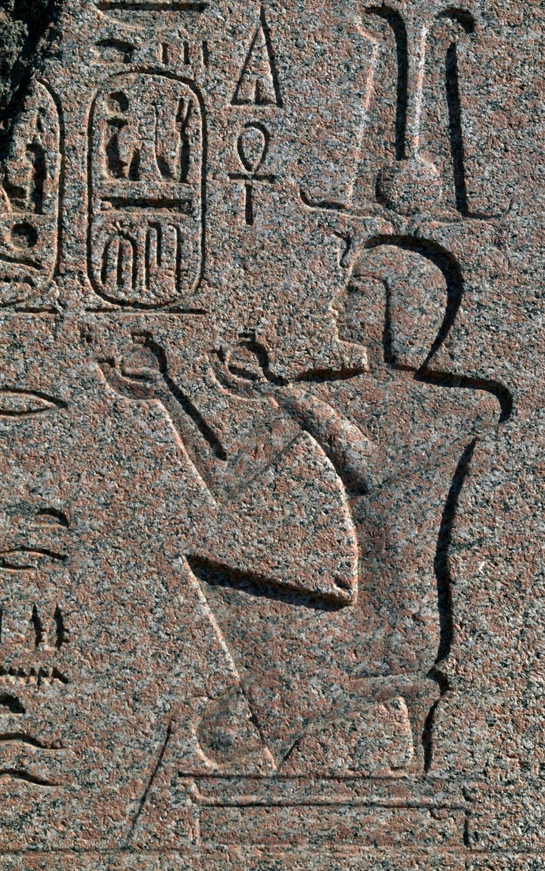 Blok med relieffer og inskriptioner af Ramses II, Det store Amon-tempel, Tanis, Egypten, Egyptisk civilisation, Det Nye Rige, XIX. dynasti af Egyptian 19th Dynasty